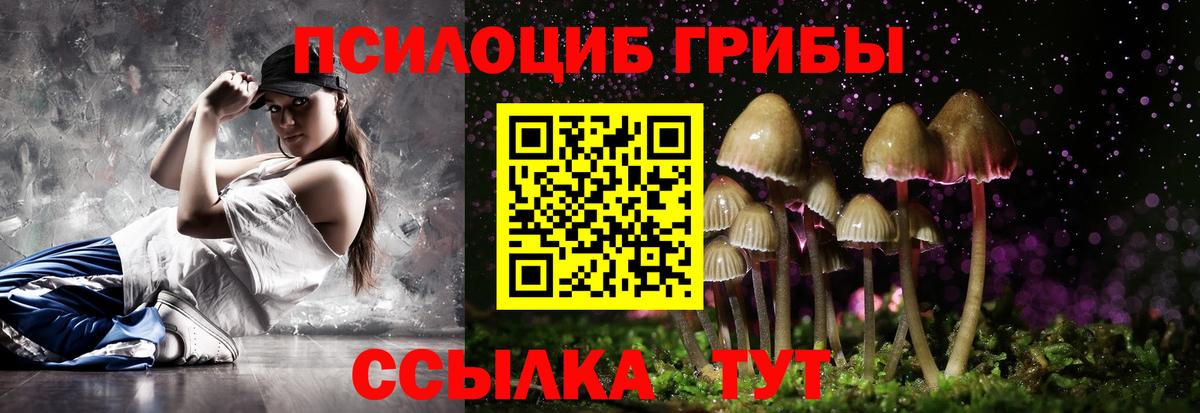 Псилоцибиновые грибы GOLDEN TEACHER  наркошоп  Вход с VPN  Губкинский  Галлюциногенные грибы Cubensis 